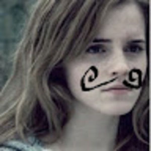 Meet your Posher, Bob